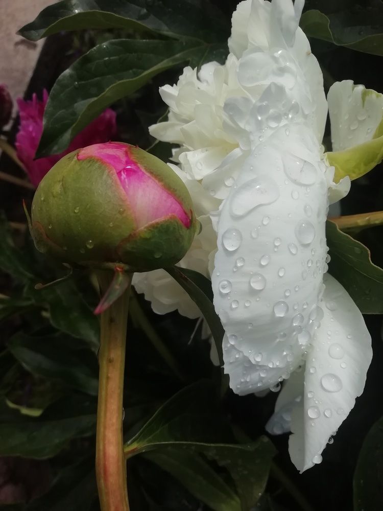 Photograph by Любовь Лунина