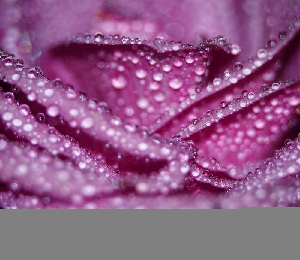 Photograph by Анастасия Доронкина