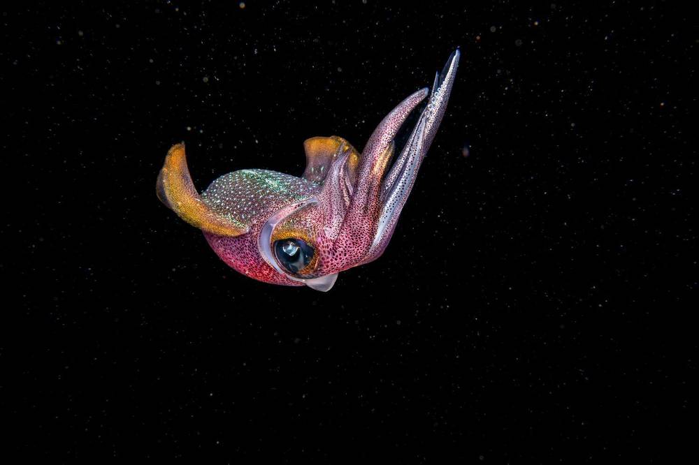 Photograph by Magali Márquez