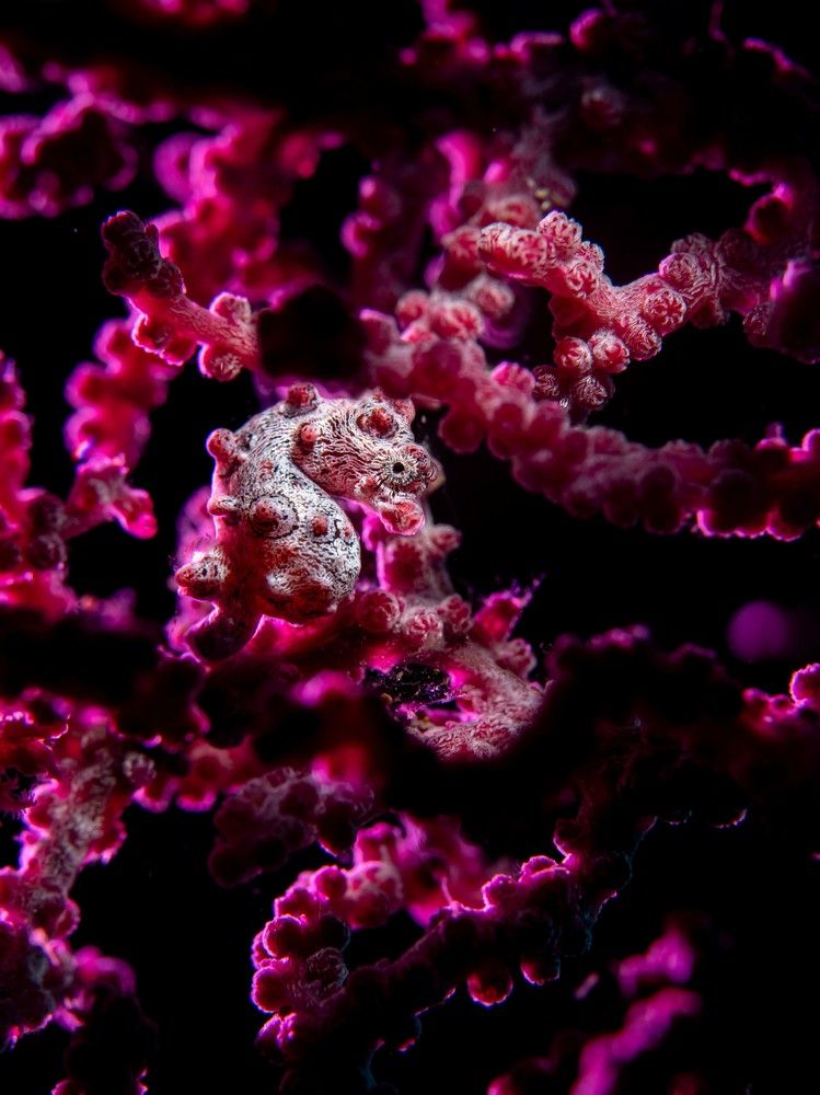 Photograph by Magali Márquez