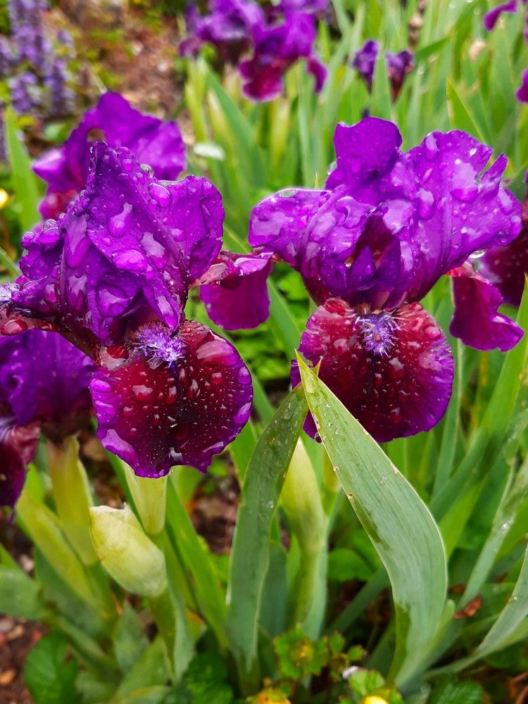 Photograph by Галина Глазкова