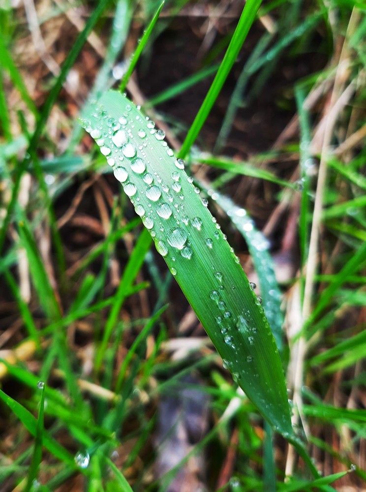 Photograph by Галина Глазкова