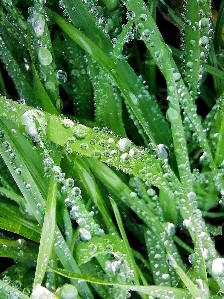 Photograph by Титова Наталья