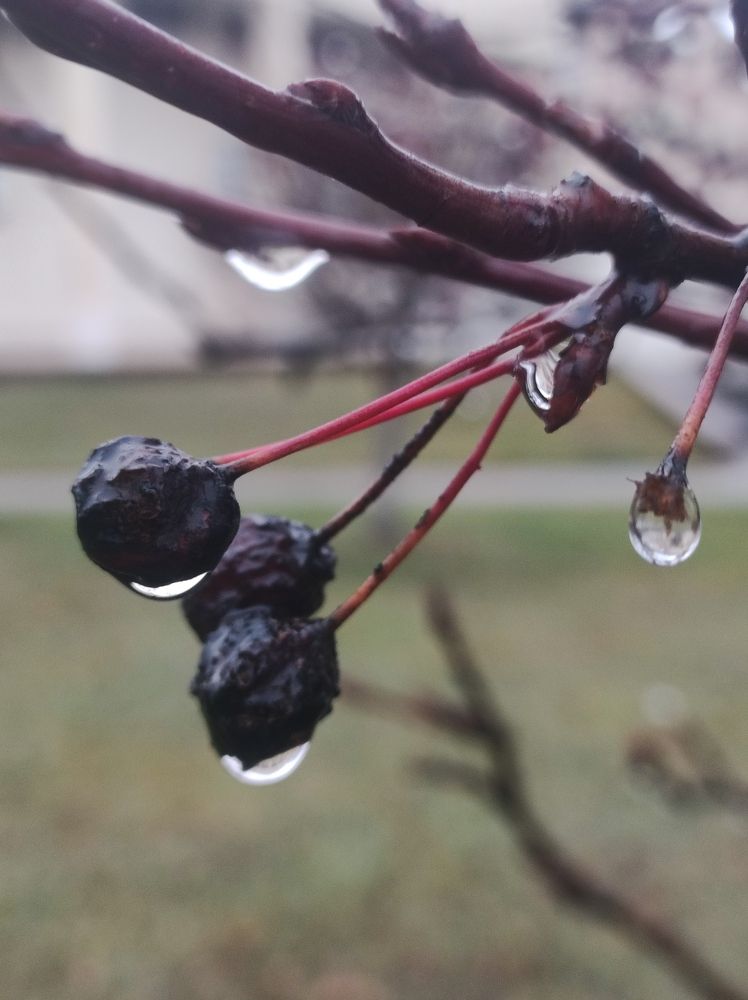 Photograph by Анна Маскалик