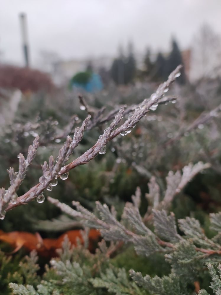 Photograph by Анна Маскалик