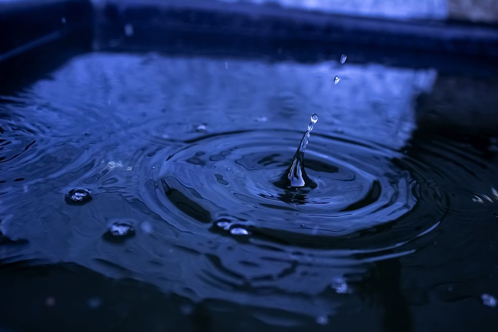 Photograph by Олеся Королева