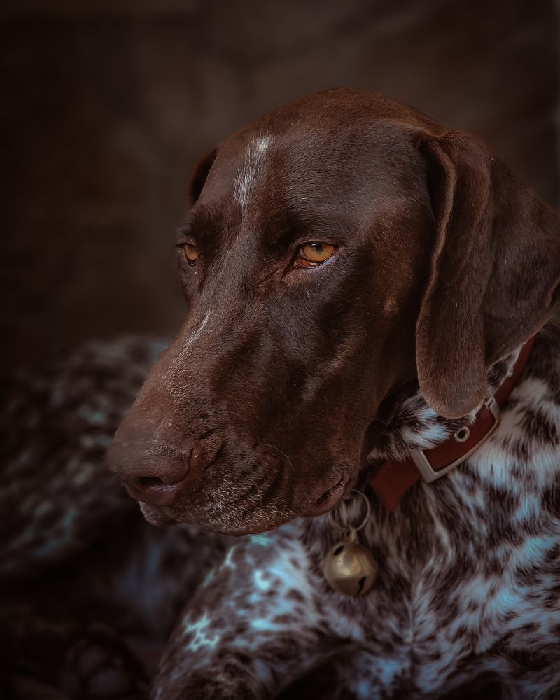 Photograph by Alexandra Sergeeva