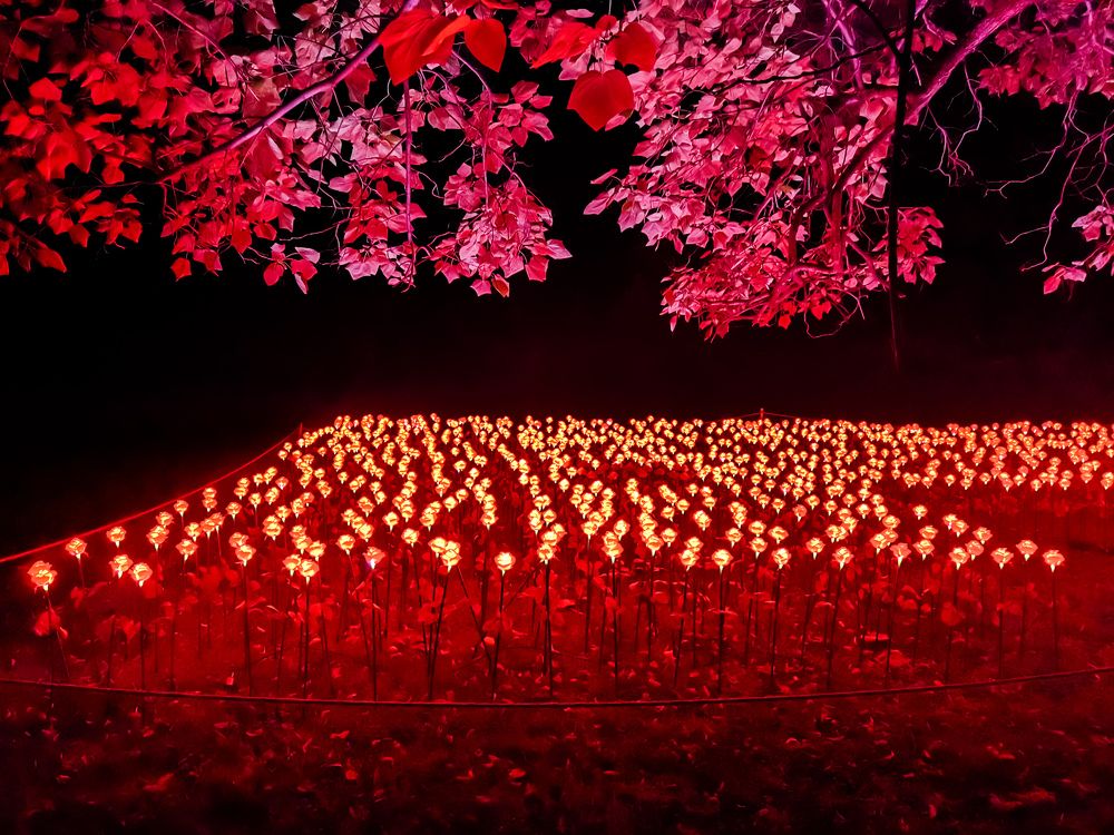 Photograph by Nikolay Draganov