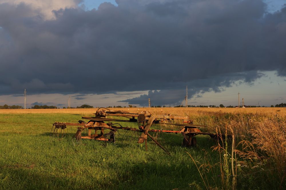 Photograph by Валерия Гуртовая