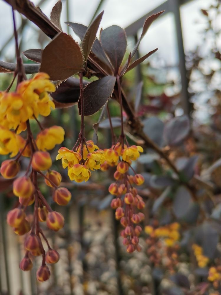 Photograph by Любовь Лунина