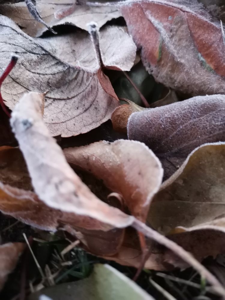 Photograph by Любовь Лунина