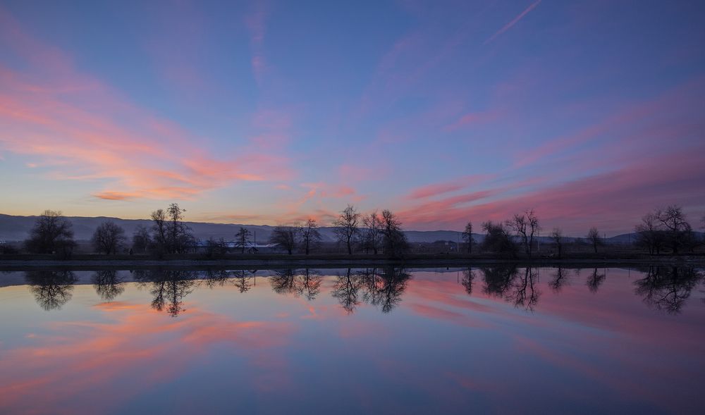 Фотография автора Шипунова Ирина