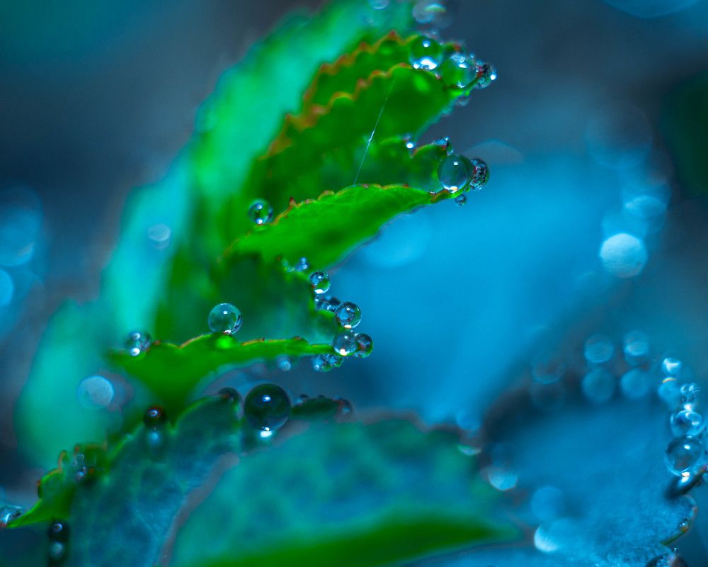 Photograph by Людмила Прибылова