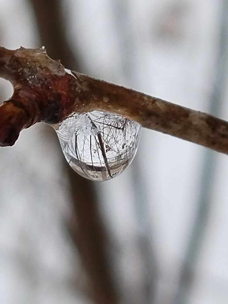 Photo #11460625