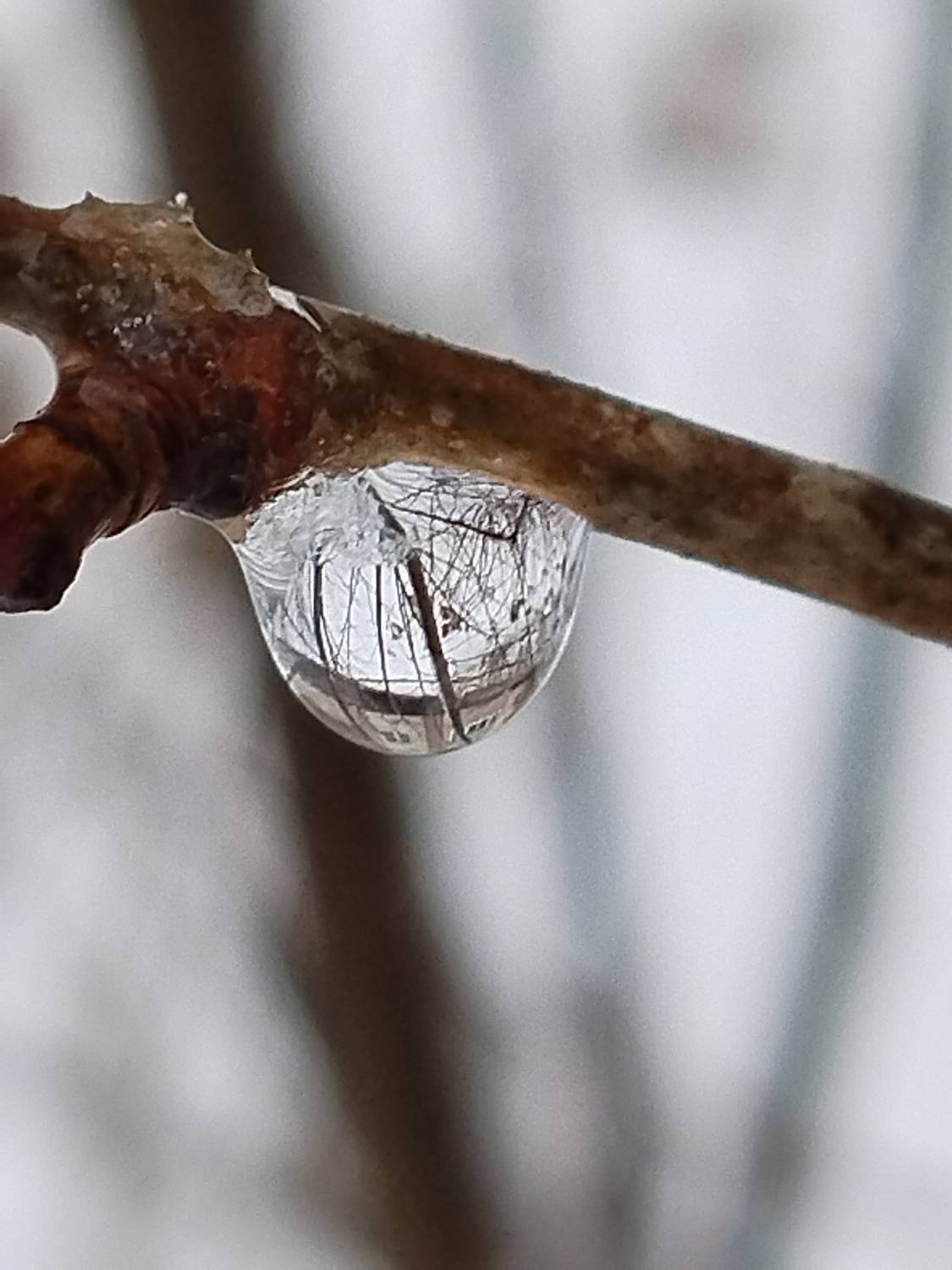 Photo #11460625
