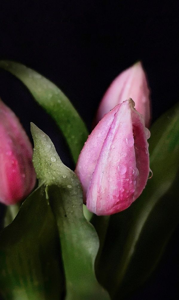 Photograph by Оксана Абакумова