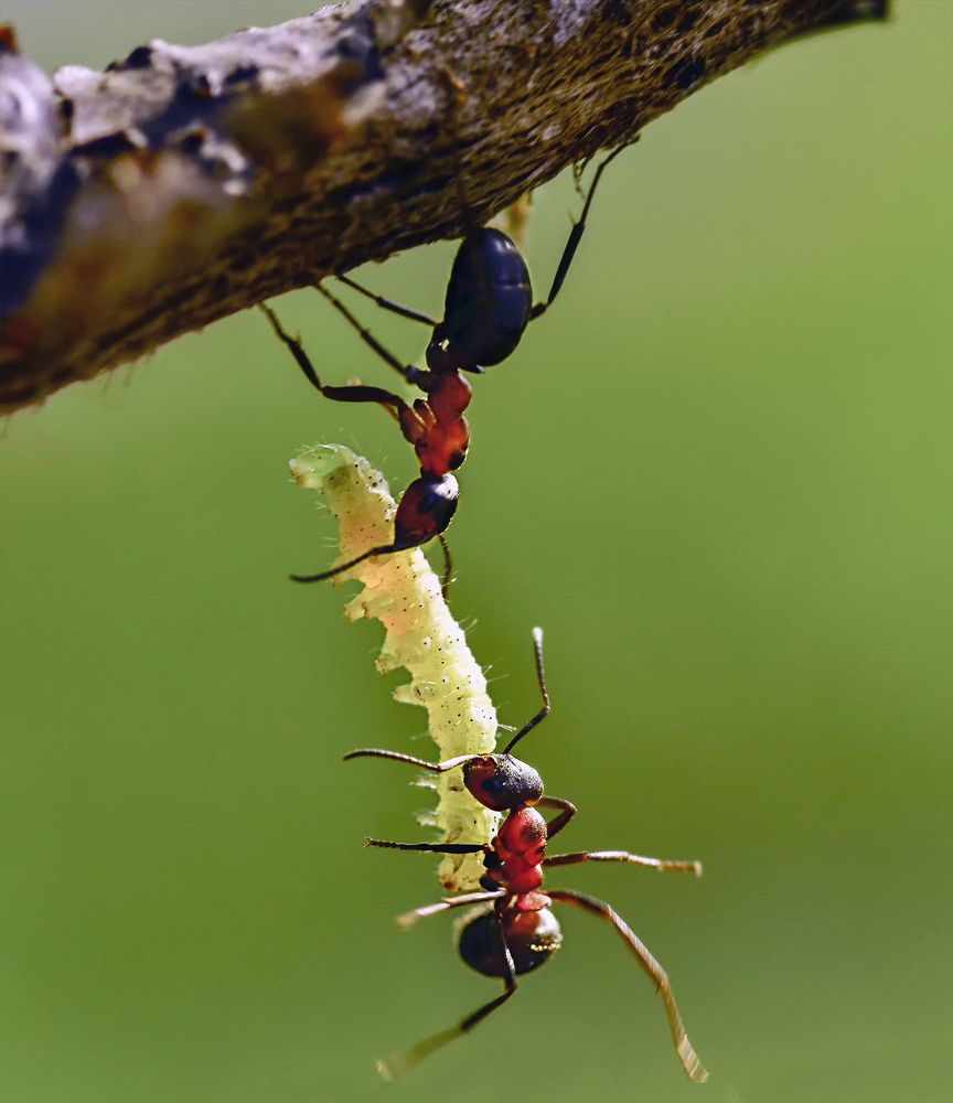 Photograph by Natalia Bolotenkova