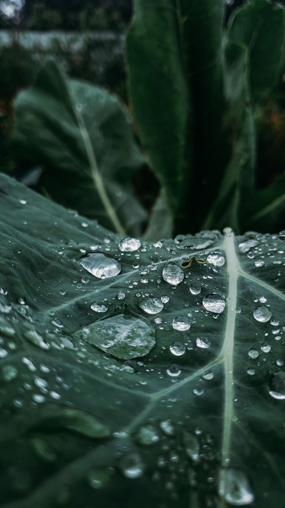 Photograph by Скоблина Юлия