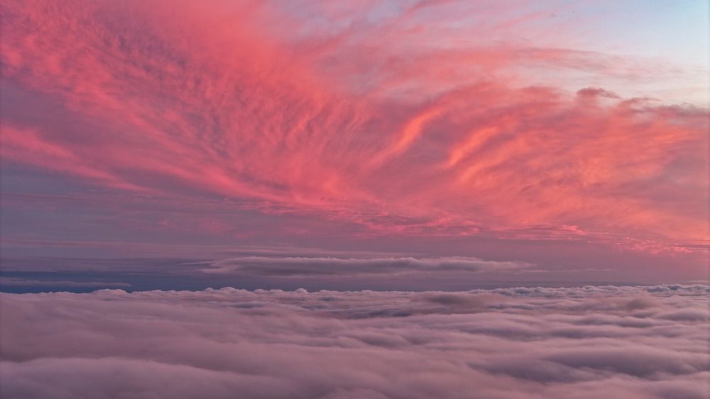 Розовое небо