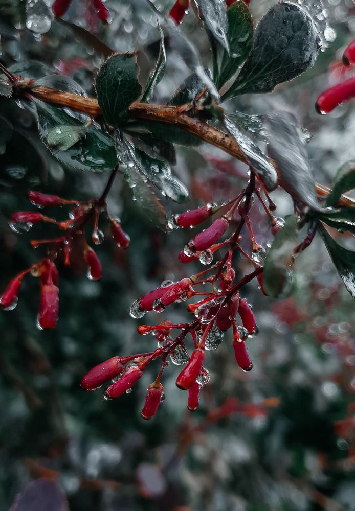 Photograph by Скоблина Юлия