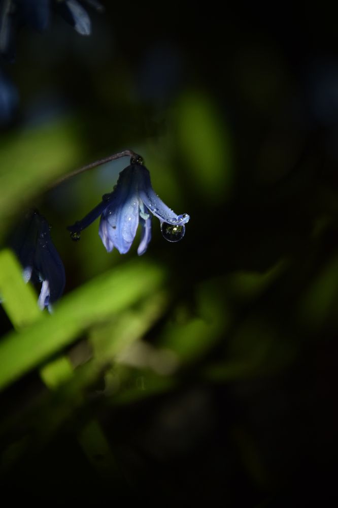 Photograph by Ольга Рыкова