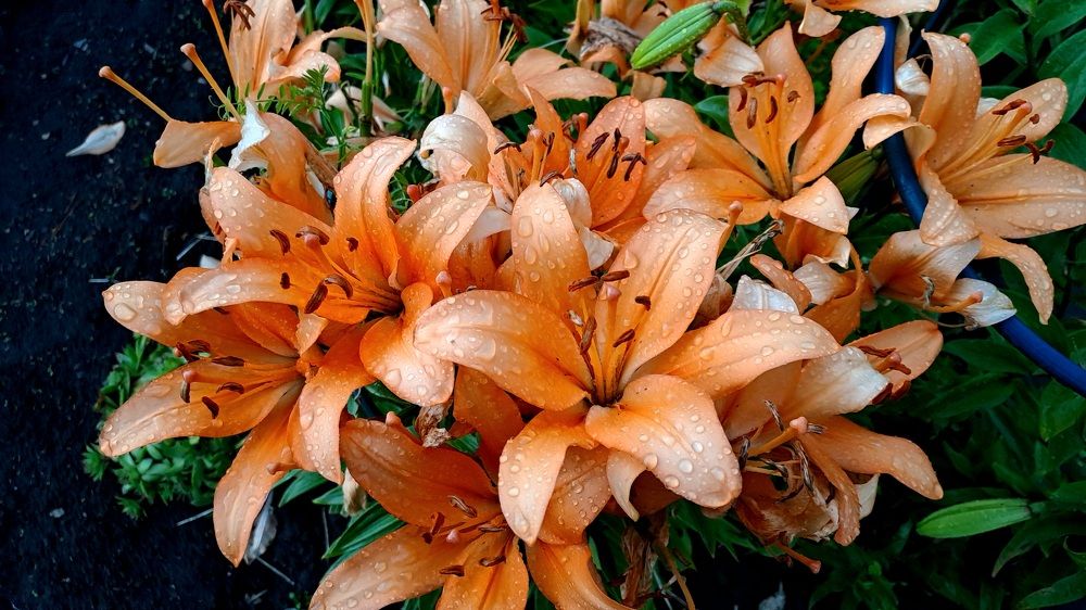 Photograph by Николай Худяков