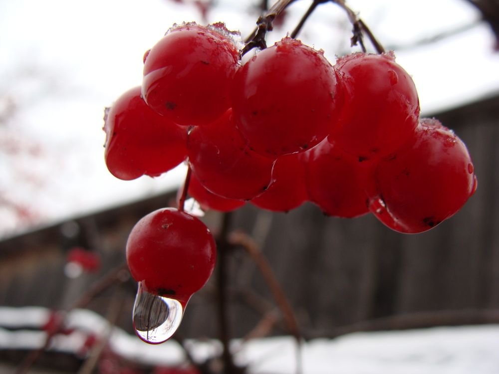 Photograph by Николай Худяков