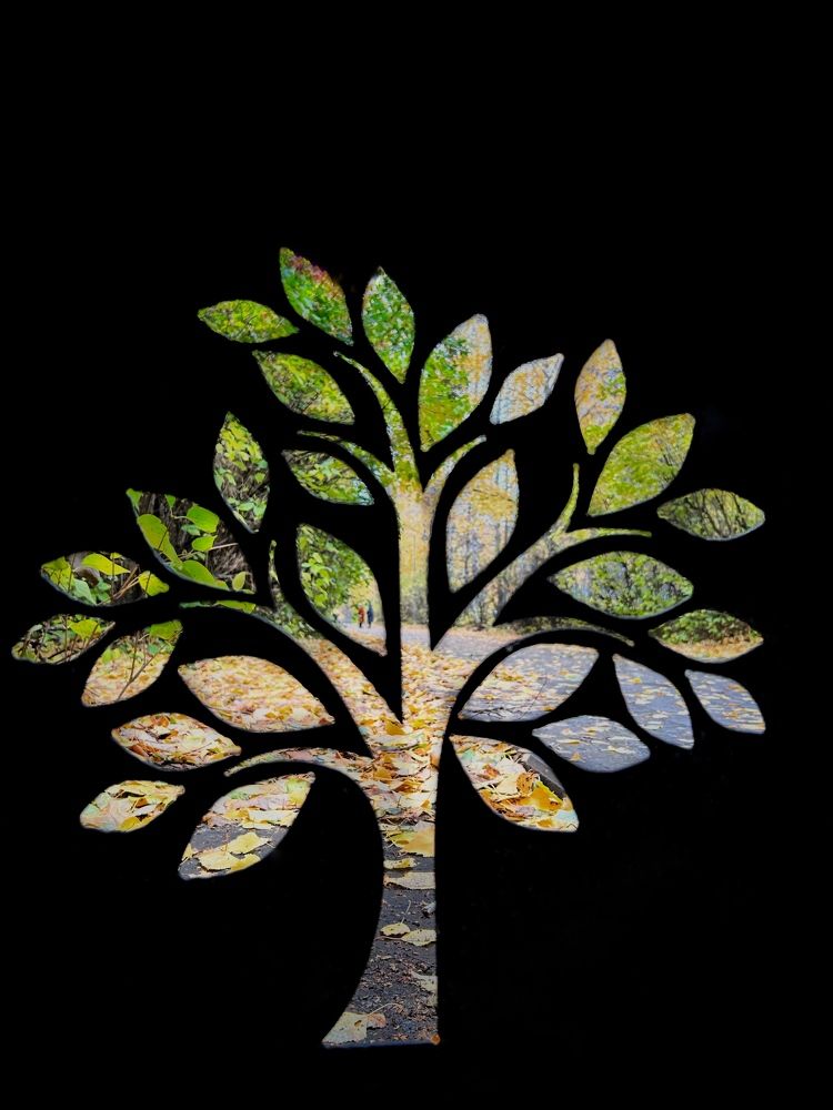 Photograph by Анна