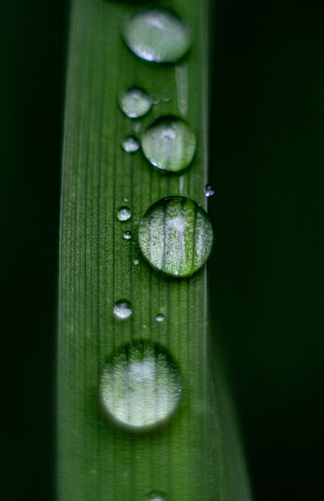 Photograph by Дмитрий Давидов