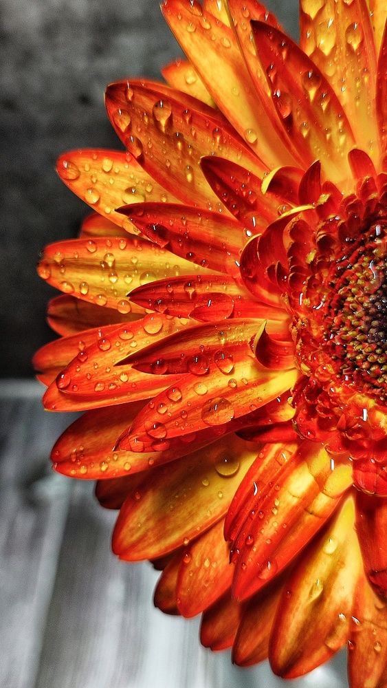 Photograph by Дина Желанова