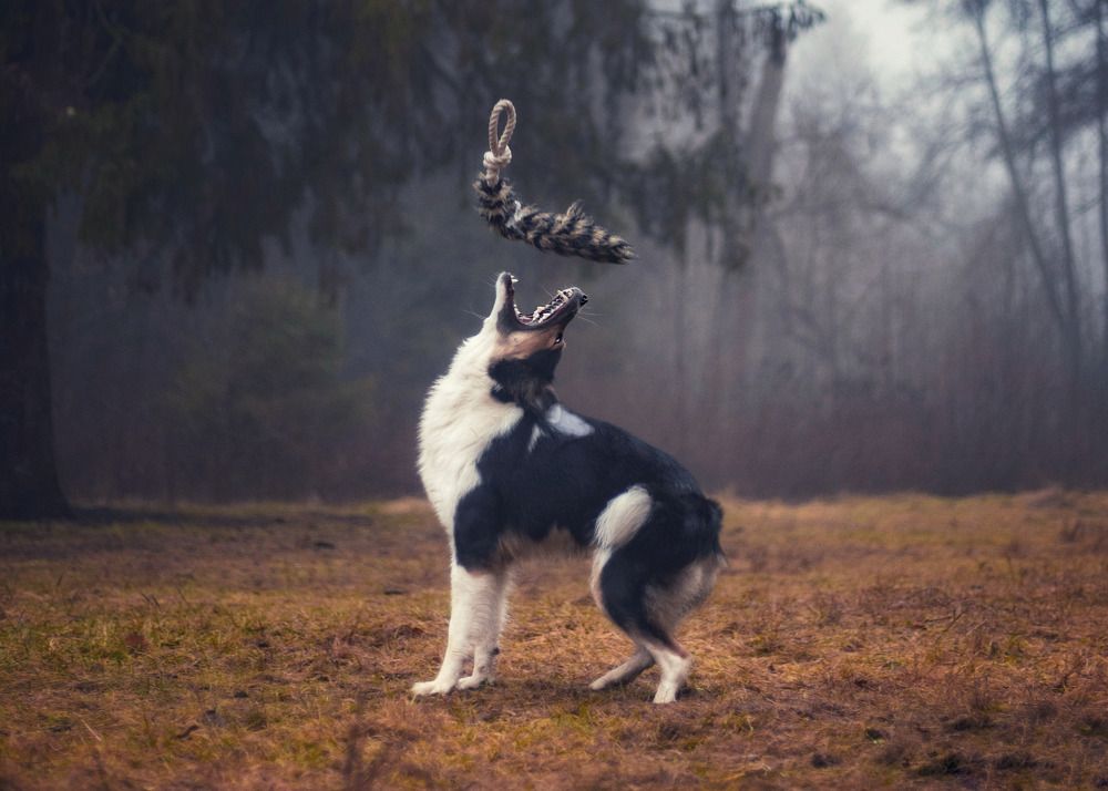 Photograph by Татьяна