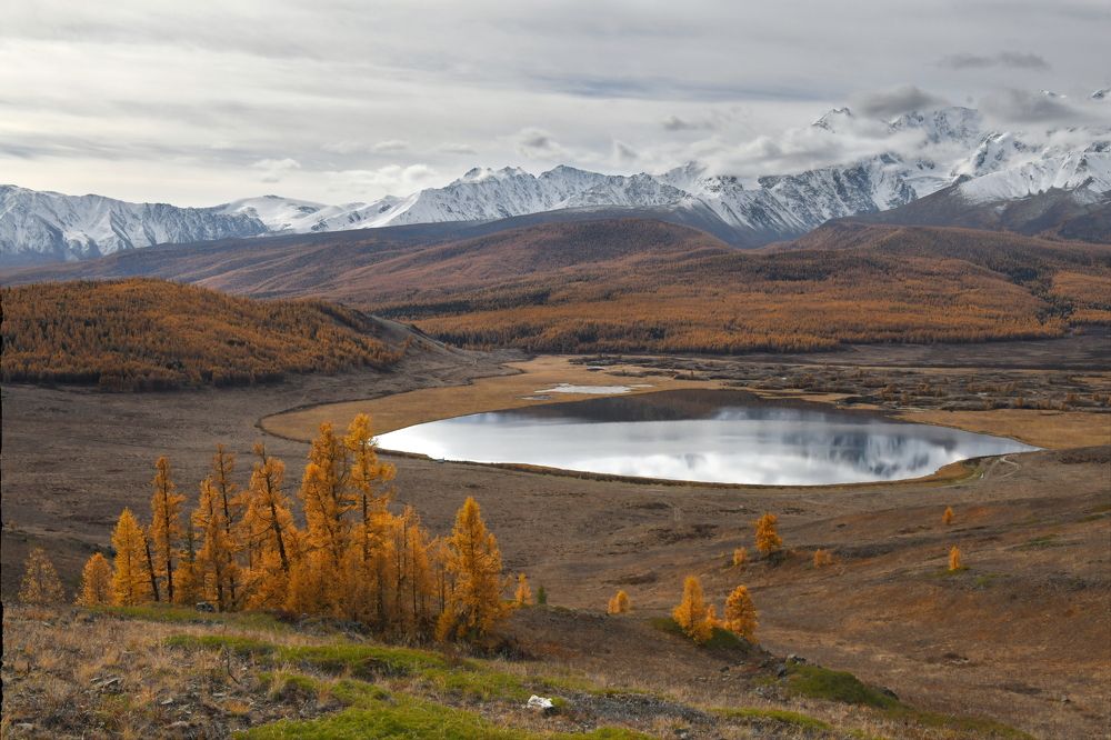 Photograph by Светлана Крат