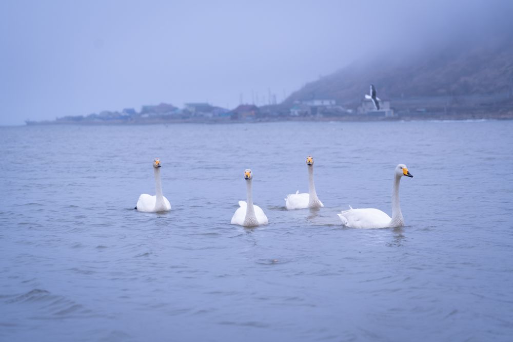 Photograph by Евгений