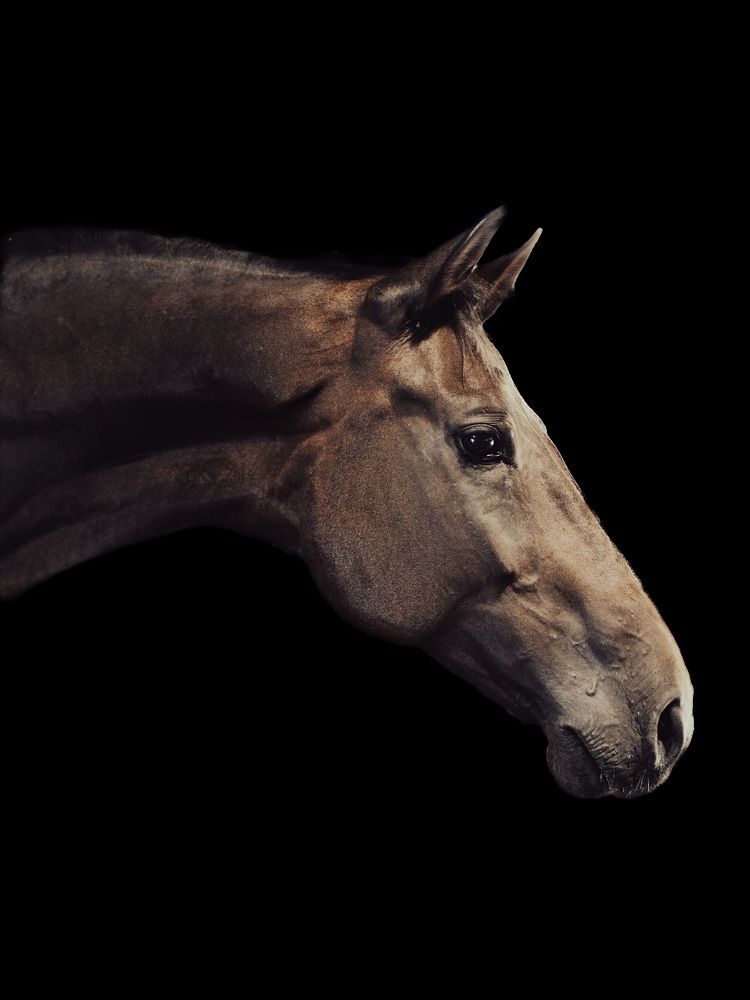 Photograph by Katherine Erlich