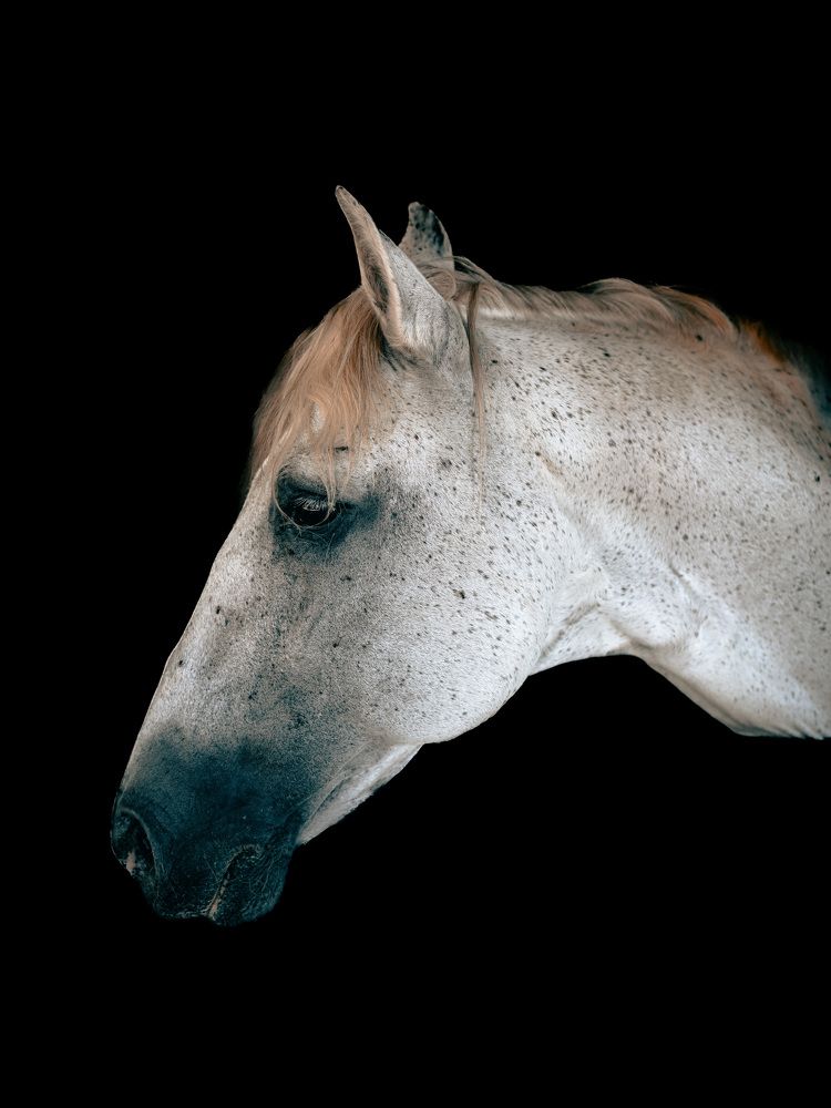 Photograph by Katherine Erlich