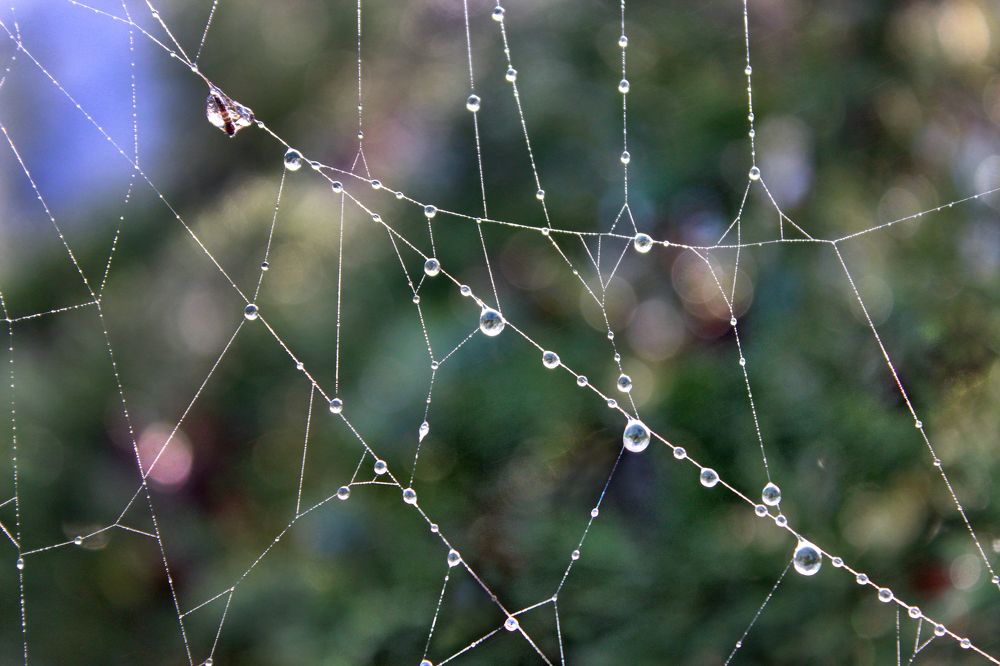 Фотография автора Татьяна Сергиенко