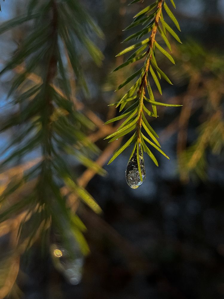 Фотография автора Аня Столярова