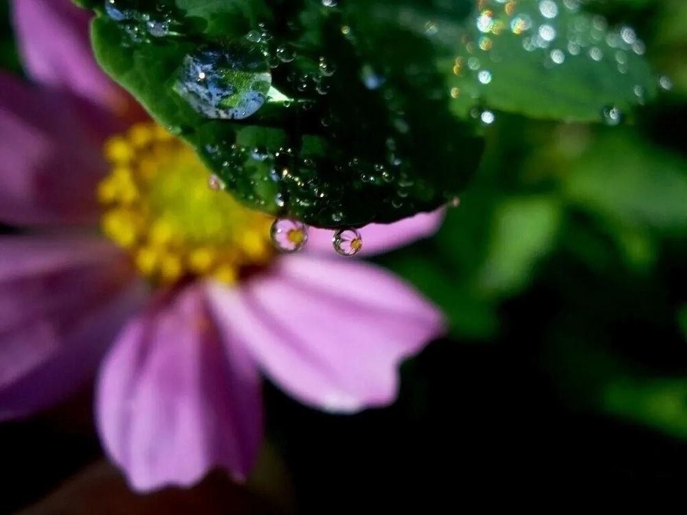 Фотография автора Павел Попов