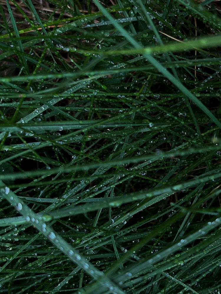 Фотография автора Аня Столярова