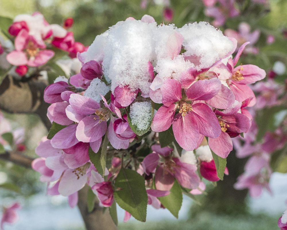 Photograph by Жанна Агафонова