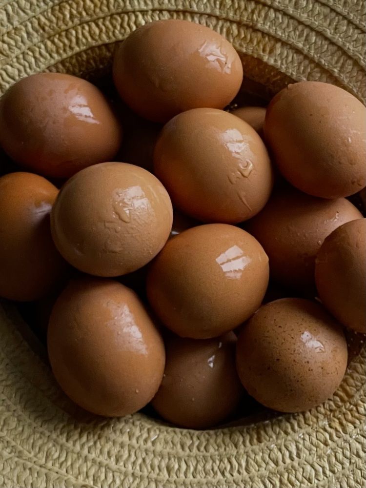 Photograph by Марина Фомичева