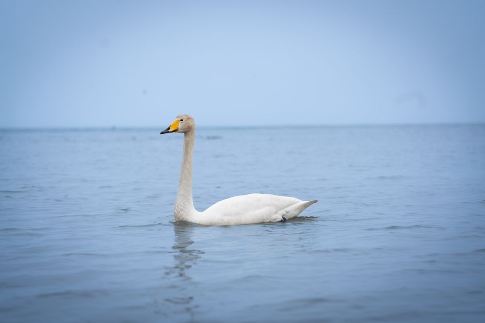 Photograph by Евгений