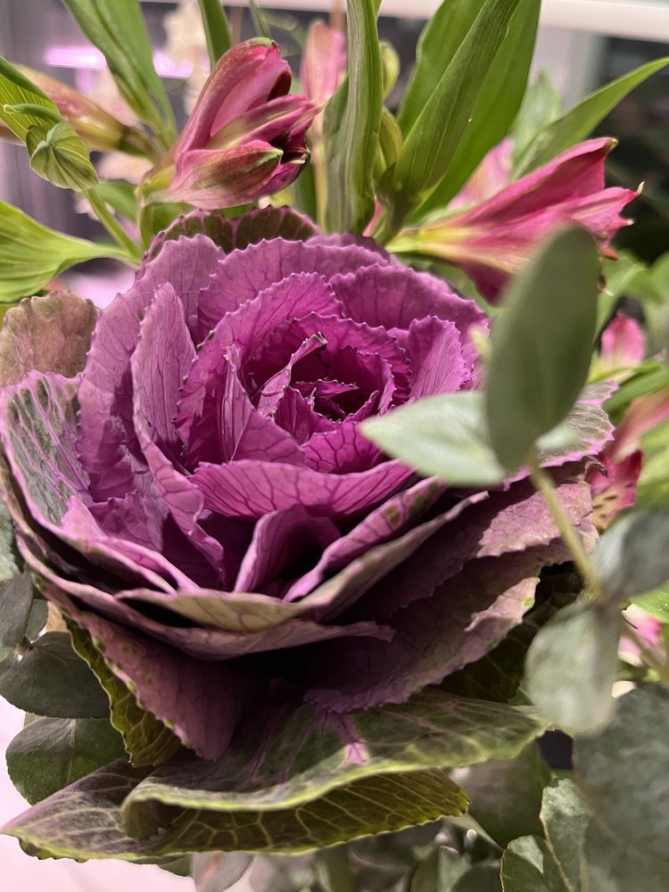 Photograph by Екатерина Усольцева