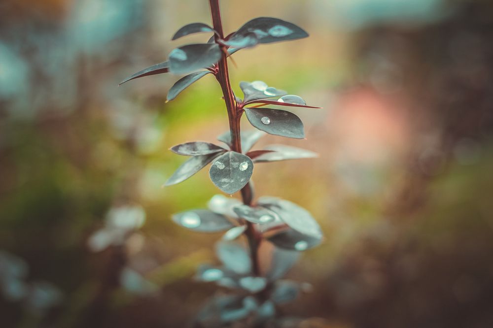 Photograph by Liudmila Pilets