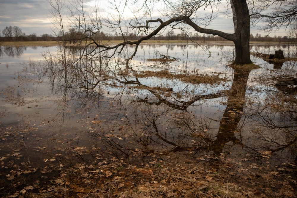 Photograph by Татьяна Романова