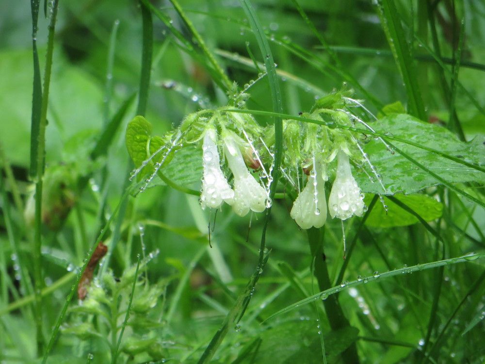 Photograph by Татьяна Поминова