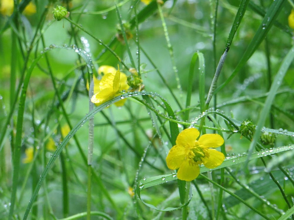 Photograph by Татьяна Поминова