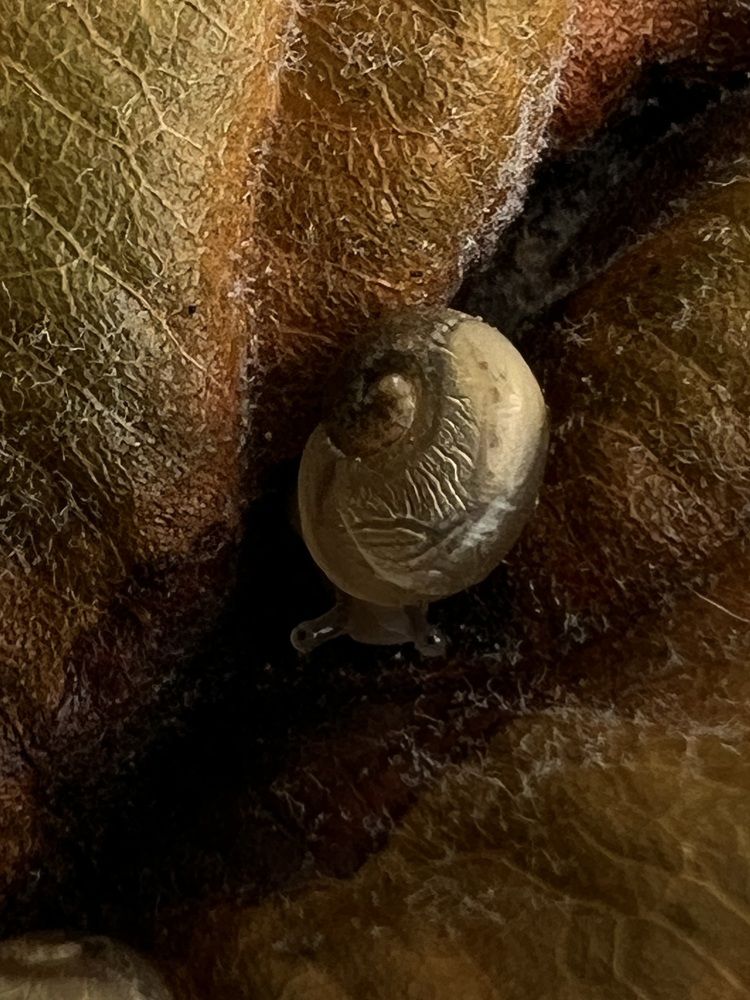 Photograph by Анастасия Куэлляр