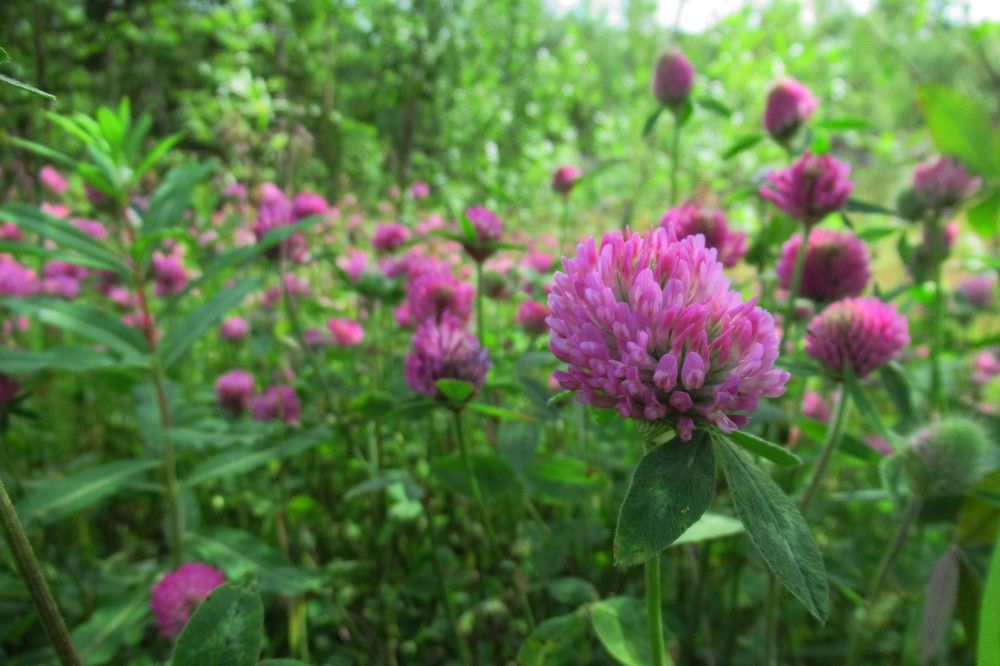 Photograph by Ольга Березовская