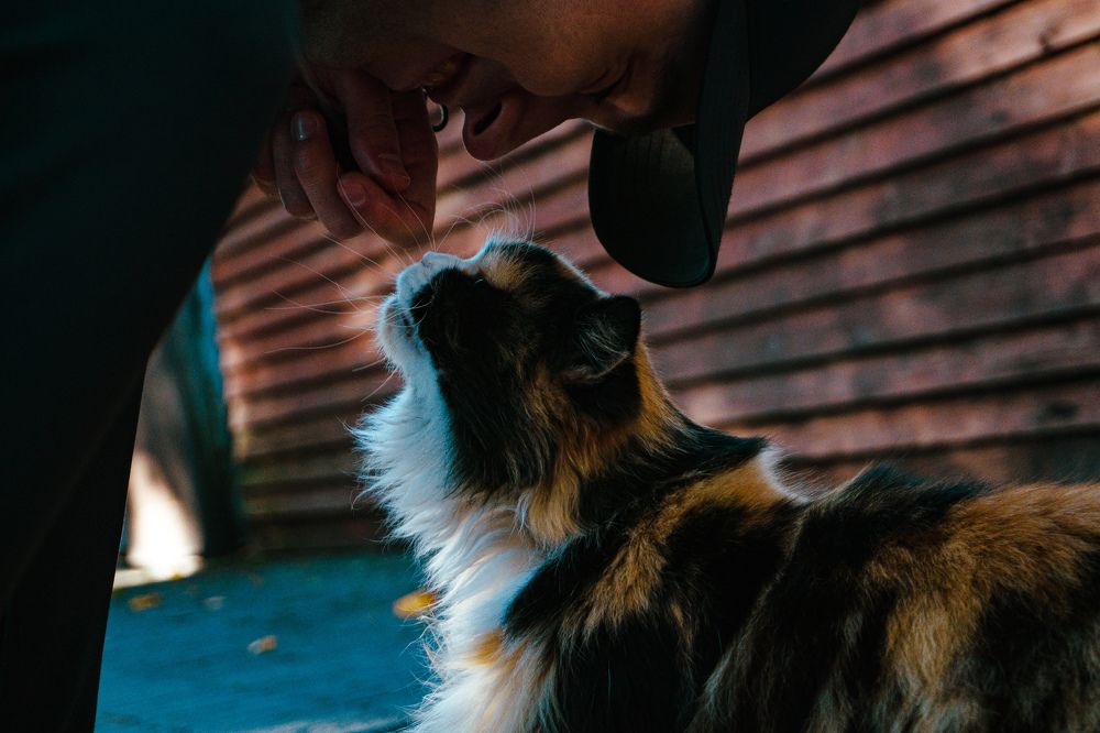 Photograph by Артем Порубаев